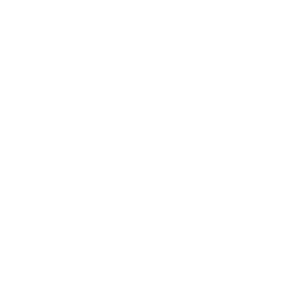 Integracija AI sisitema usluge mini logo 1.1 zodax